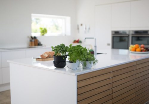 Spacious, light-filled kitchen with modern design and fresh herbs on the counter.